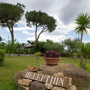 Le Mimose Apartment Lacona